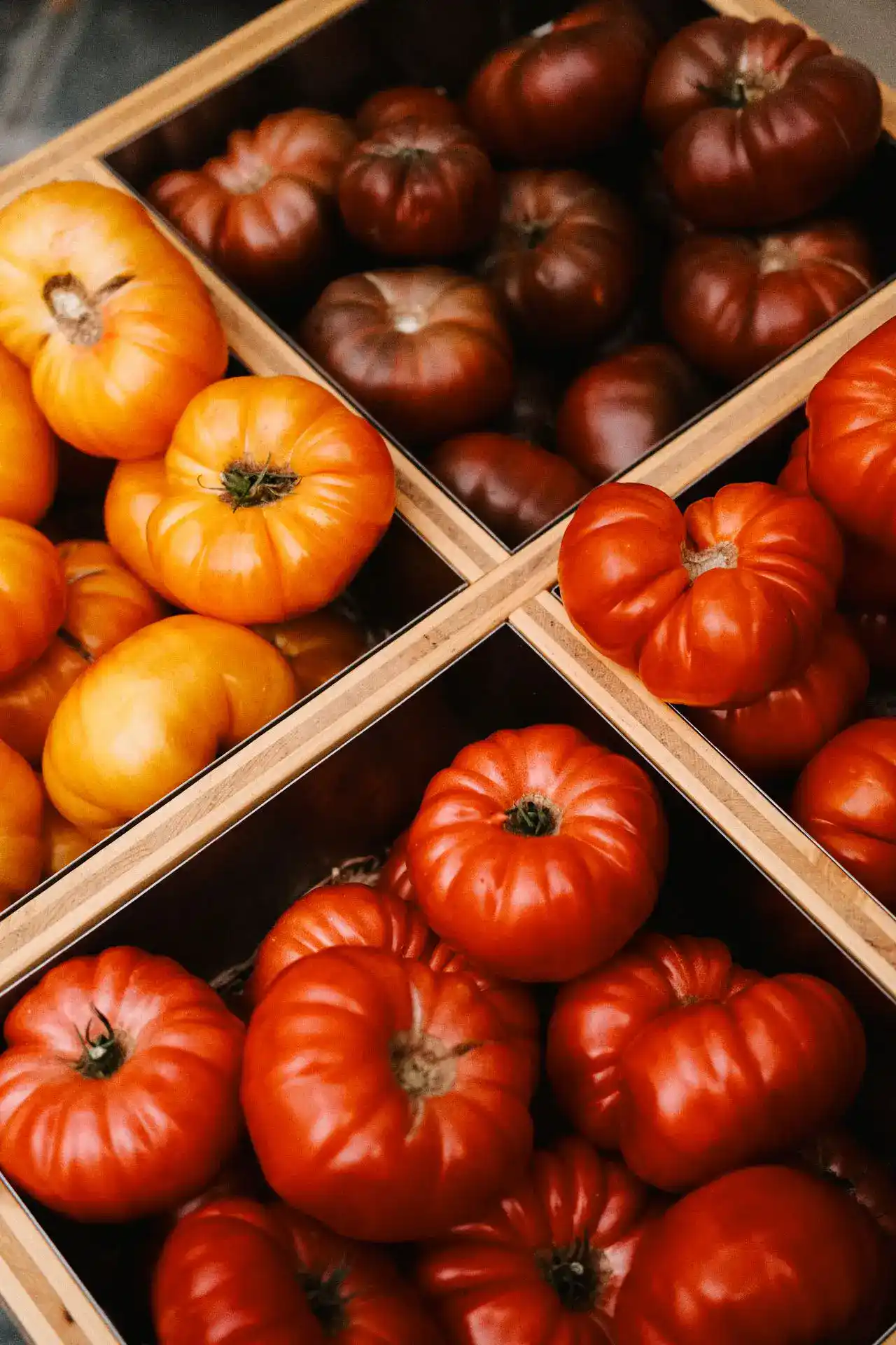 Hand prüft frische Tomaten auf einem Wochenmarkt